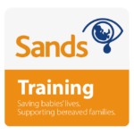 Sands Training Logo